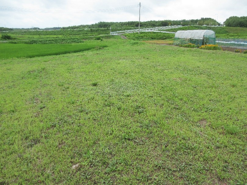 空き地NO46