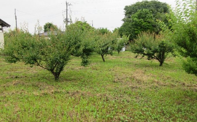 常陸太田市 空き地NO47