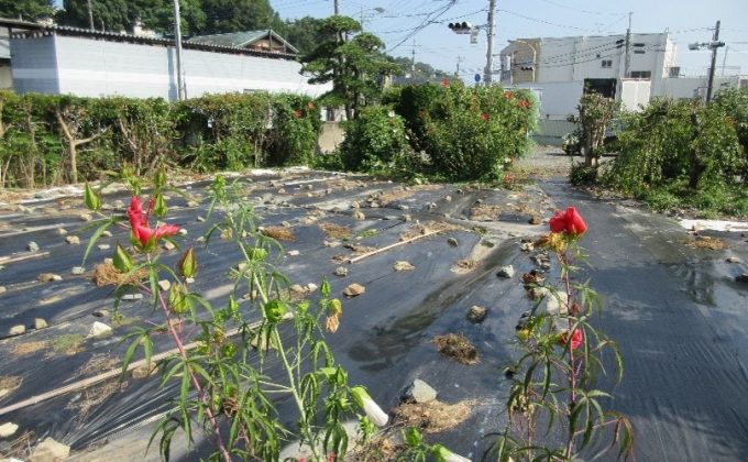 常陸太田市 空き地NO48