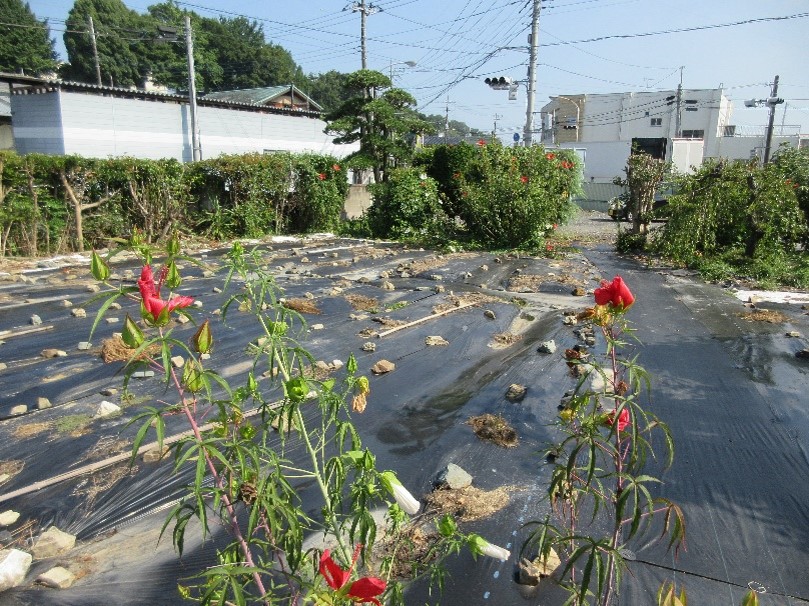 空き地NO48