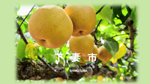 【オンライン開催】いばらきで農業やってみる！？～就農のススメ～＠下妻市